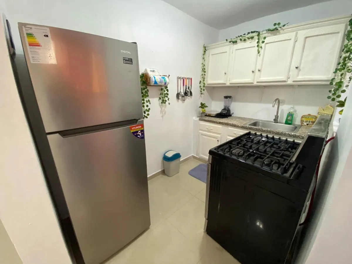 8 Santiago Monumental Area Cozy And Lovely To Enjoy 3 Bedrooms Apart Transportation 24 Hours 公寓 圣地亚哥洛斯卡巴
